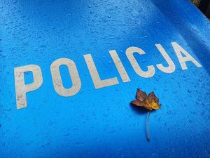 Mokra maska oznakowanego radiowozu policyjnego. Na niebieskim tle znajduje się napis Policja, a pod nim jeden mały liść.