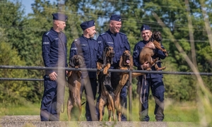 PSY SŁUŻBOWE W POLSKIEJ POLICJI