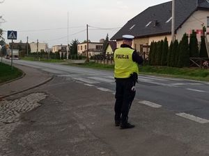 Policjant Wydziału Ruchu Drogowego ma założoną kamizelkę odblaskową z napisem Policja, używa miernika prędkości w okolicach przejścia dla pieszych