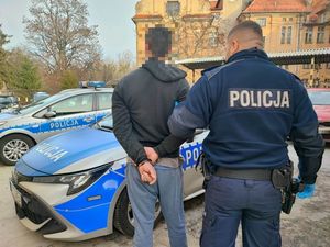 Policjant stoi z zatrzymanym mężczyzną. Obaj stoją tyłem do zdjęcia. Mężczyzna ma założone kajdanki na ręce trzymane z tyłu.