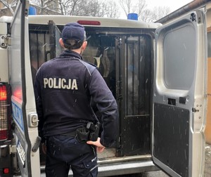 Żmigrodzcy policjanci zatrzymali poszukiwanego