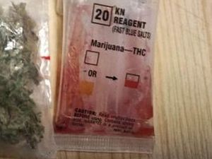 Susz koloru zielonego w woreczku, a obok znajduje się tester narkotykowy zabarwiony na kolor czerwony wskazujący że jest to marihuana.