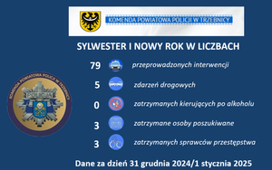 Sylwester i Nowy Rok w policyjnych liczbach