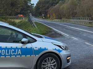 Utrudnienia na DK15 – prace drogowe związane z wycinaniem drzew. Na miejscu trzebniccy policjanci wspierają pracowników