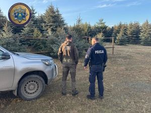 Wspólne działania policjantów ze Strażą Leśną. Pamiętajmy, choinka tylko z legalnego źródła!