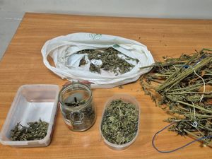 Domowa interwencja z nieoczekiwanym finałem